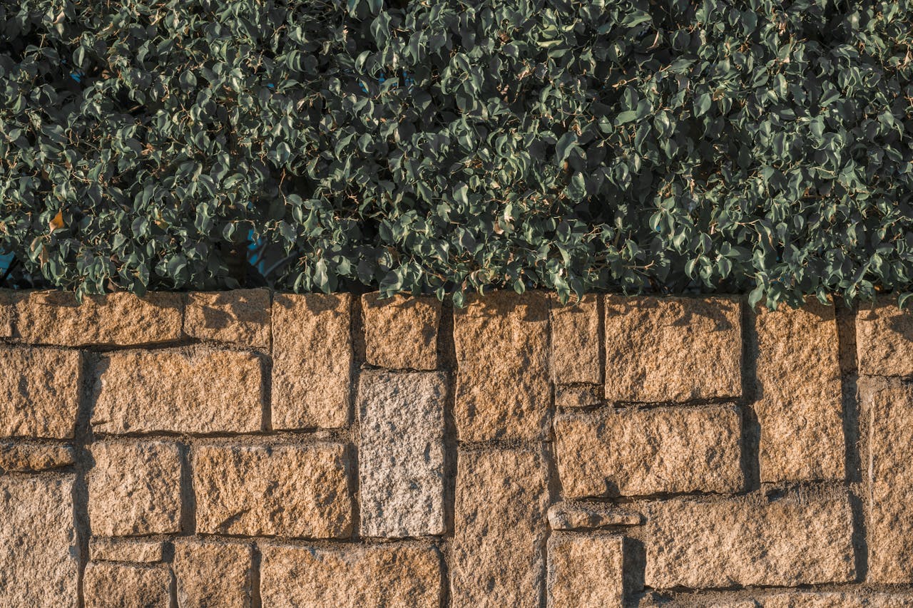 Fences and Outdoor Walls