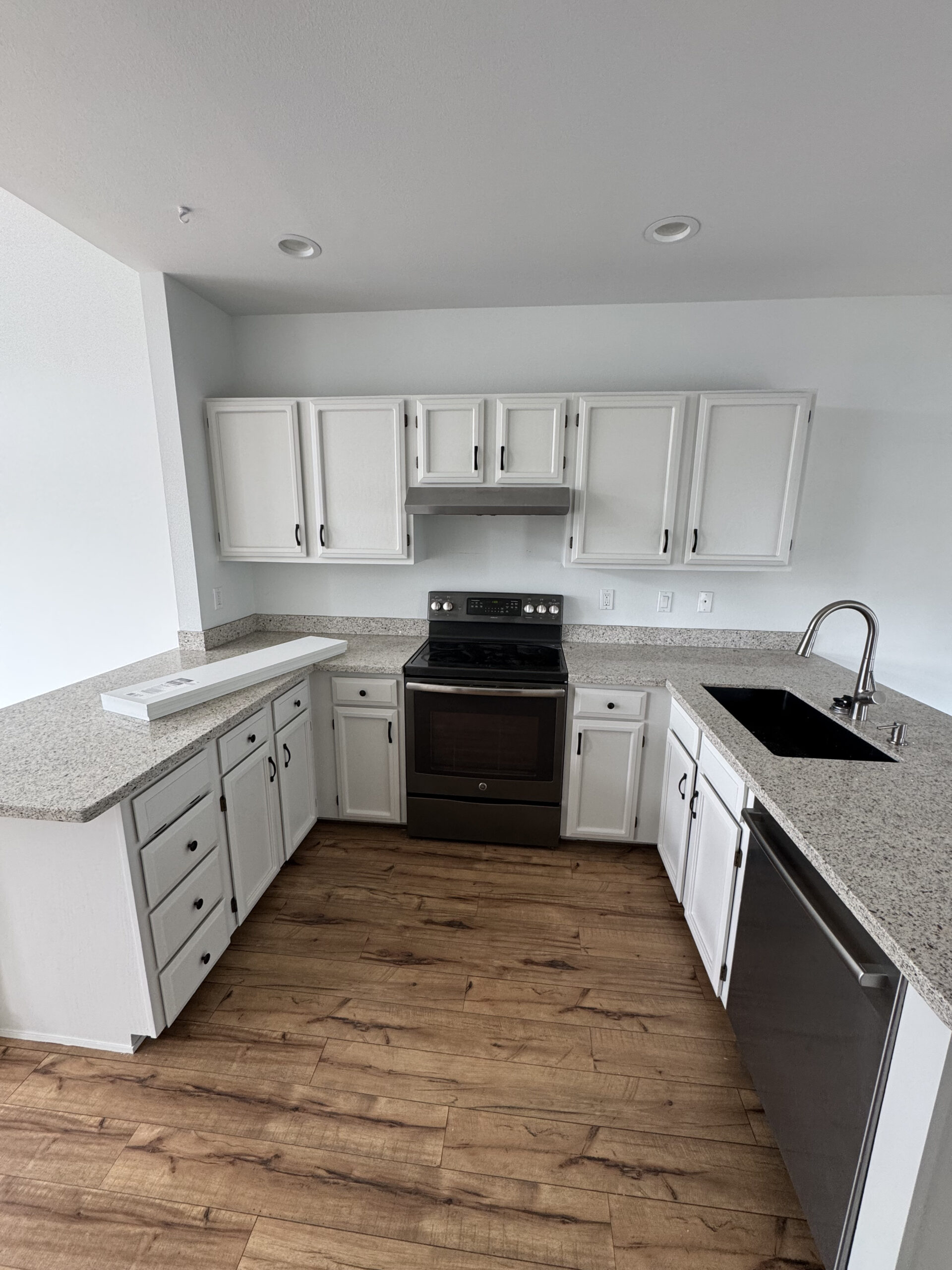 Bellevue Full Kitchen Repaint